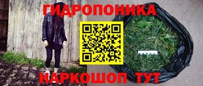 2c-b Кимры