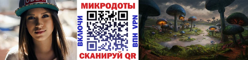 Псилоцибиновые грибы Psilocybe  сколько стоит  Кимры 