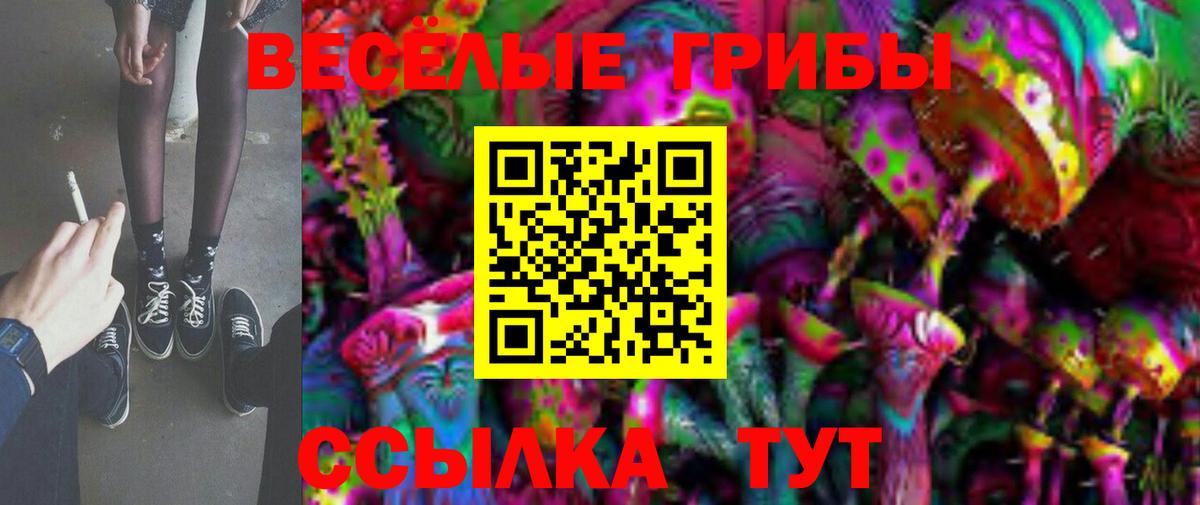 Галлюциногенные грибы Psilocybine cubensis Кимры