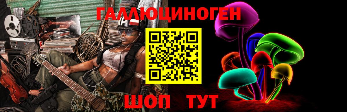 Кимры  Галлюциногенные грибы GOLDEN TEACHER  Вход с VPN 